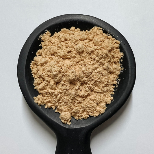 Lions Mane Mushroom Powder Organic