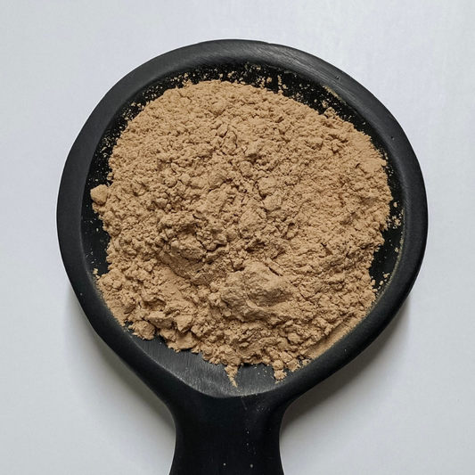 Shiitake Mushroom Powder Organic