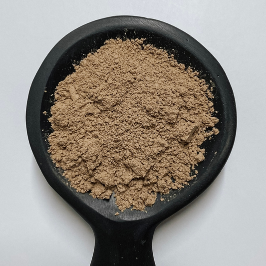 Turkey Tail Mushroom Powder Organic